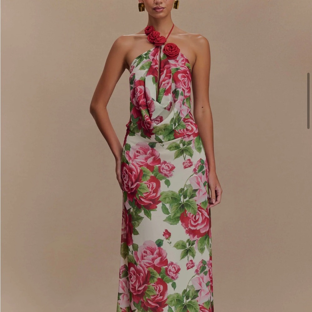 Meshki Rosalia Cowl Neck Pink and Green Floral Maxi Dress